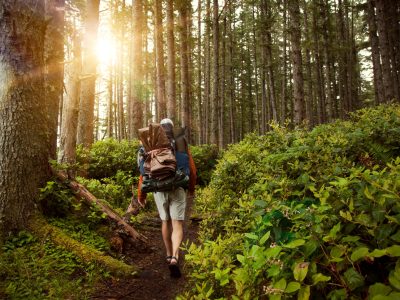 Rear view of hiker walking on pathway amidst trees at forest