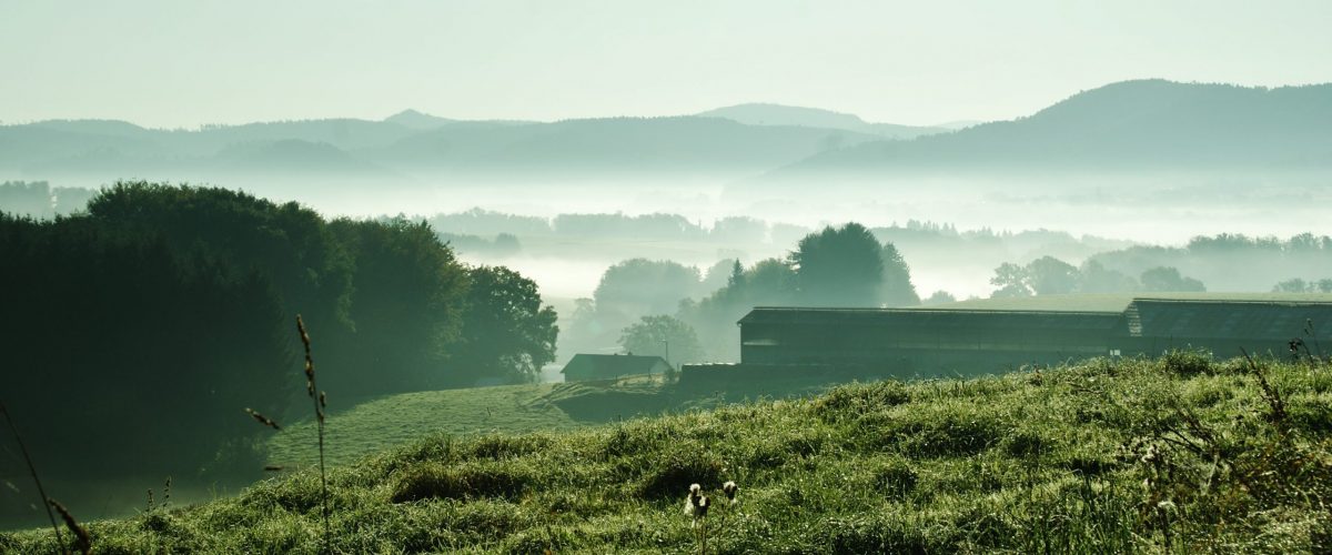 Val de Vologne - © OT Bruyères
