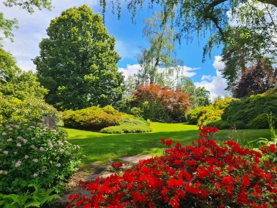 jardins callunes